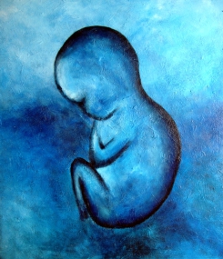 9. Embryo
